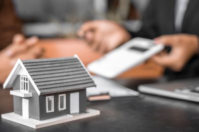Asset Protection in St Kitts & Nevis with a Nevis LLC