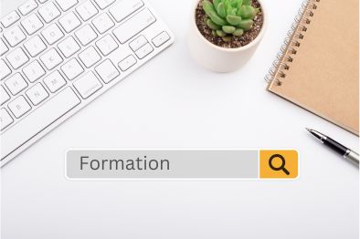 Nevis LLC Formation Process